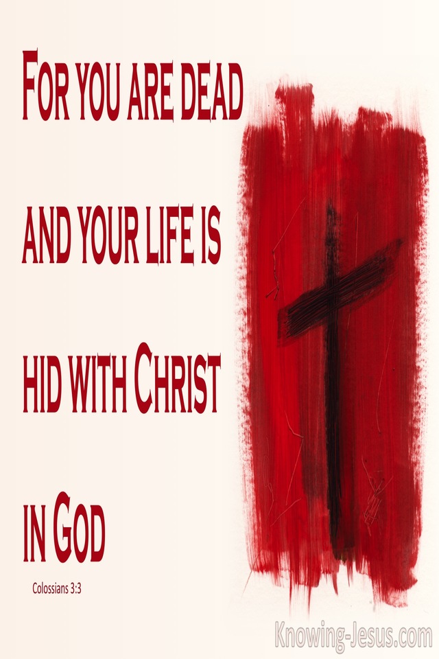 Colossians 3:3 Hid With Christ In God (pink)